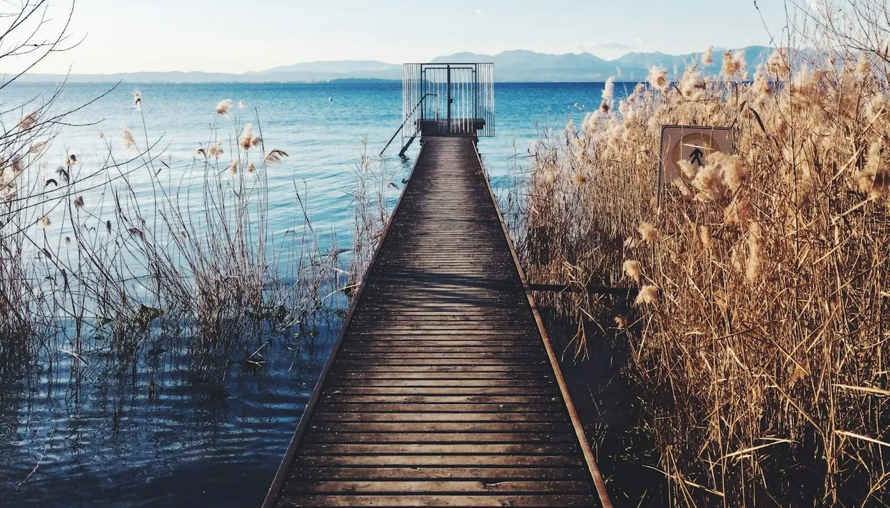 Muelle de madera que avanza hacia el lago