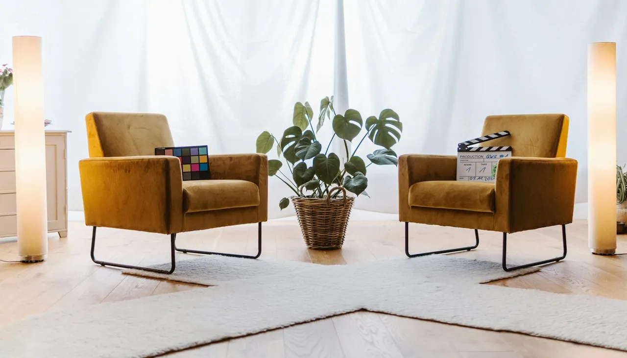 Sala de terapia con dos sillones y una planta